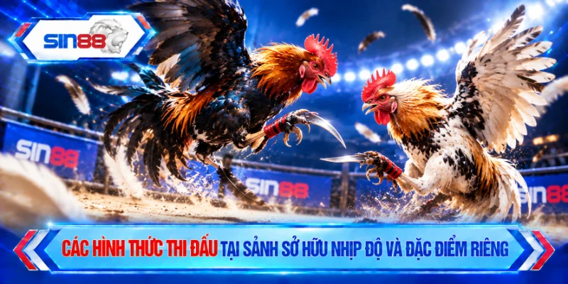 Các hình thức thi đấu tại sảnh sở hữu nhịp độ và đặc điểm riêng