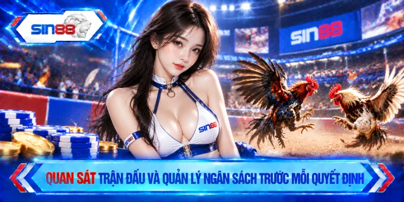 Quan sát trận đấu và quản lý ngân sách trước mỗi quyết định